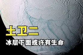 土星这颗小卫星，直径500公里海洋深达万米，已集齐生命6大元素视频封面