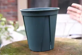 养花用什么花盆比较好？园艺师教你，用青山花盆，具有强大控根力视频封面