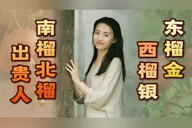 “东榴金，西榴银，南榴北榴出贵人”，有啥依据？你家种对了吗？