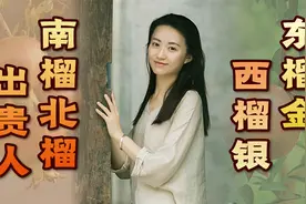 “东榴金，西榴银，南榴北榴出贵人”，有啥依据？你家种对了吗？视频封面