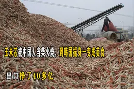 玉米芯被中国人当柴火烧，到韩国摇身一变成美食，出口挣了40多亿视频封面