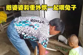 憨婆婆摘槐树叶，和重外甥一起喂兔子，看到兔子一举一动真可爱视频封面