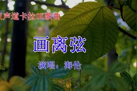 双声道卡拉OK歌曲《画离弦》抖音热歌伴奏海伦推荐KTV经典流行视频封面