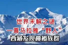 西藏发现神秘族群，竟是喜马拉雅野人后代！视频封面