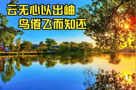 绿阴不减来时路，添得黄鹂四五声~视频封面