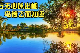 绿阴不减来时路，添得黄鹂四五声~视频封面