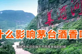 影响白酒香味的因素有哪些？难怪茅台酒的酿造离不开赤水河视频封面