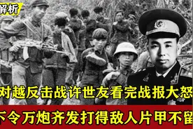 1979年对越反击战，许世友收到战报大怒，下令万炮齐发炸平谅山视频封面