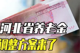 退休人员好消息！又一个地区公布养老金调整方案，看看是哪里视频封面
