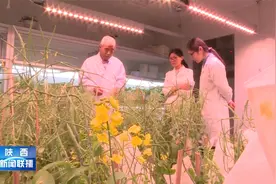 全国优秀共产党员李殿荣：让老百姓吃上营养健康的油视频封面