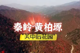 陕西宝鸡秘境黄柏塬，秦岭腹地梦幻山水，有“关中后花园”之美誉视频封面