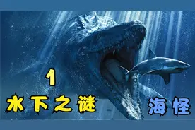 男孩在水里游泳，意外发现了未知生物，把卵放进了鱼缸，水下之谜