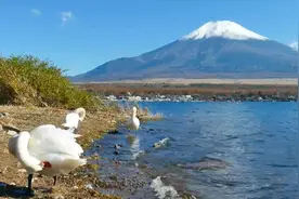 毛主席语录：忍一时，风平浪静，退一步，海阔天空视频封面
