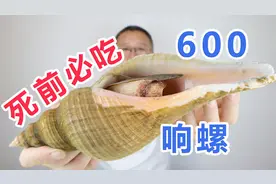 死前必吃清单 40万饭局的美食 炭烧响螺究竟有何魅力 一起备年货视频封面