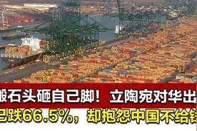 搬石头砸自己脚！立陶宛对华出口已跌66.5%，却抱怨中国不给钱赚视频封面