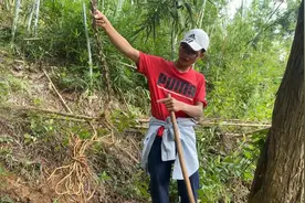 阿伟发现野生抗癌消炎宝贝，挖了一会收获满满！直呼下次再来