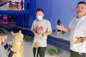 小叔投资700万开了一家萌宠乐园，侯哥说白手起家比不上有背景的视频封面