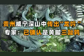 贵州威宁深山中传出“龙吟”，当地交通一度陷入瘫痪，专家：谣言视频封面