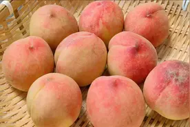 今天才知道，保存桃子这么简单，放半年都不会坏，而且越放越甜