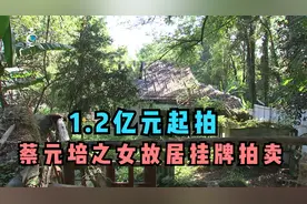 1.2亿元起拍！蔡元培之女故居挂牌阿里拍卖视频封面