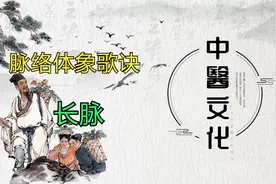 脉络体象歌诀  长脉视频封面