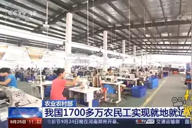 农业农村部：我国1700多万农民工实现就地就近就业|新闻直播间视频封面