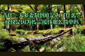 古代一夫多妻制到底是为了什么，仅仅是因为传宗接代那么简单吗