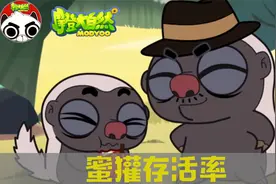 【摩登大自然】平头哥蜜獾最怕什么？视频封面