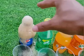 曼妥思跟可乐搭配在嘴巴里一起吃会有什么样的效果呢？视频封面