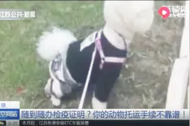 随到随办检疫证明？假文件、假印章，你的动物托运手续不靠谱！视频封面