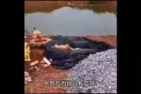 尸体的语言——尸斑以及尸僵视频封面