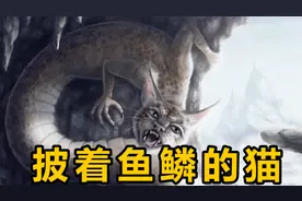 阿尔卑斯山中的神秘生物，长着猫的头蛇的身体，还会放出毒气视频封面