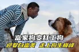 野性的呼唤：富家犬被迫拉雪橇，遇到狼族白富美，走上狗生巅峰！视频封面