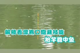 浮漂出现动作抬竿还是放口，解锁看漂抓口隐藏技能，抬竿稳中鱼！