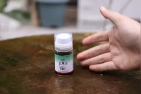 养兰花施什么肥料？园艺师教你，用兰菌王，全方位保护兰花根系视频封面
