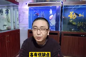 相对来讲，锦鲤比起金鱼更容易饲养，只是有些问题需要注意视频封面