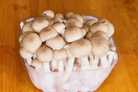 蟹味菇最营养的做法，掌握这点小技巧，汤鲜美味又清爽，太好喝了视频封面