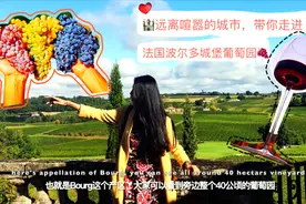 🇫🇷 法国波尔多Château de la Grave城堡庄园🍷视频封面