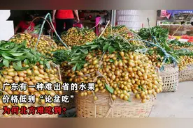 广东有一种难出省的水果，价格低到“论盆吃”，为何北方难吃到？视频封面