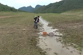 小伙发现鱼群往水库里游窜，用抄网拦截，一顿驱赶后，收获太棒了视频封面