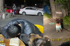 狗狗成精了！主人喝醉不省人事，狗狗全程给代驾带路找到了家视频封面