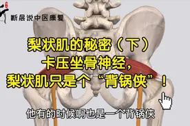 梨状肌的秘密（下）卡压坐骨神经，梨状肌只是个“背锅侠”！视频封面