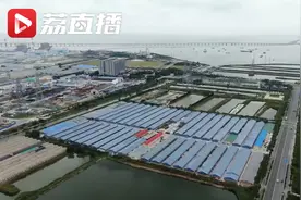 紫菜原来种在这里