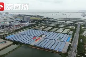 紫菜原来种在这里