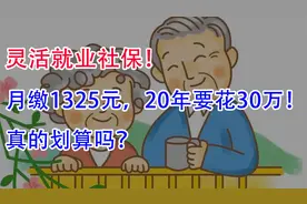灵活就业社保，月缴1325元，20年要花30万！真的划算吗？视频封面