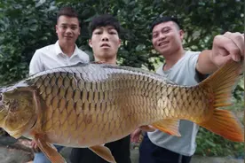 买了条大鲤鱼，腌制入味后放在大锅中和啤酒一起煮熟，很是美味！