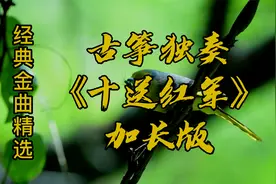 古筝演奏《十送红军》经典旋律百听不厌  静心凝神  修身养性视频封面