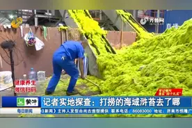 让海都发愁的浒苔，打捞上岸后都去哪儿了、有啥用处？看完涨知识