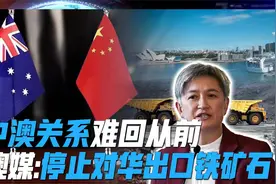 澳媒鼓吹停止对华出口铁矿石，澳外长：中澳关系无法回到蜜月期视频封面