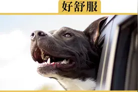 想要噪音小、换气快，车窗应该怎么开？